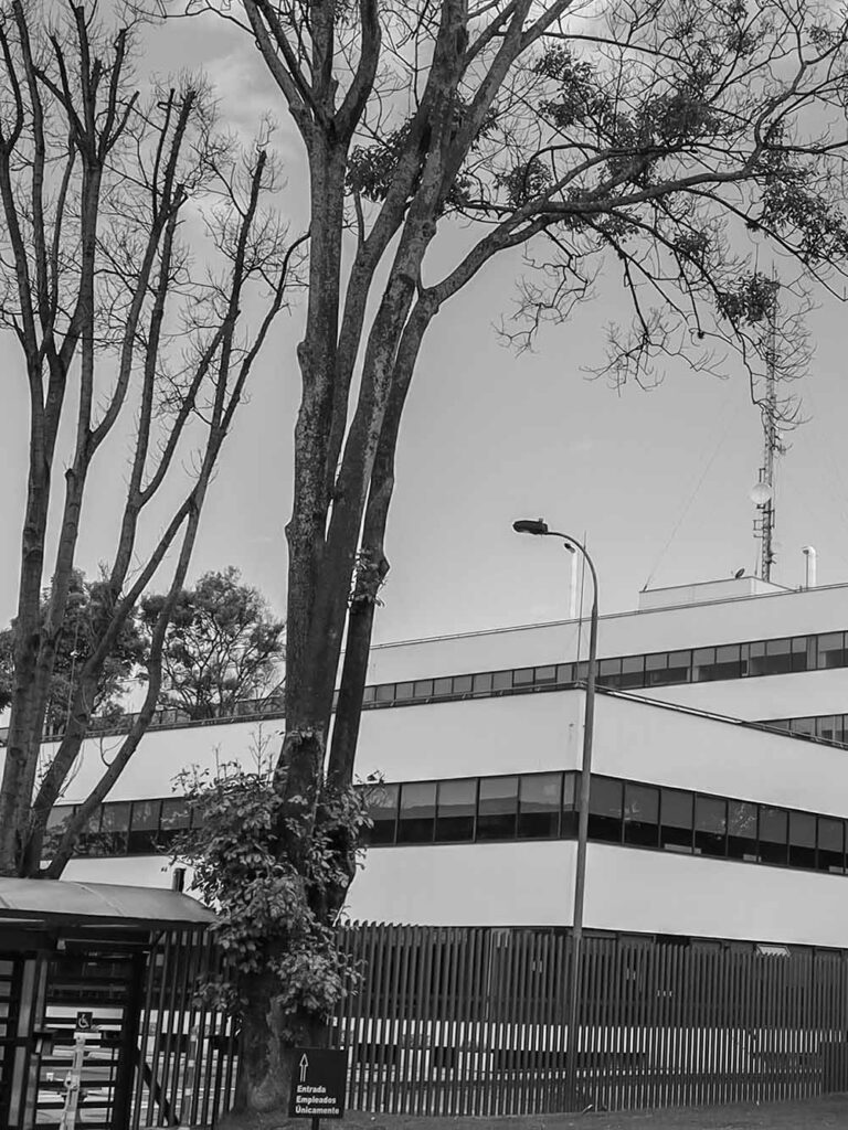 12-IBM-edificio-obras-civiles-construcciones-mansilla-ingenieros